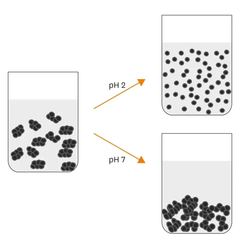 Potencial zeta e estabilidade de nanopartículas de prata revestidas com citrato com eletrólitos.