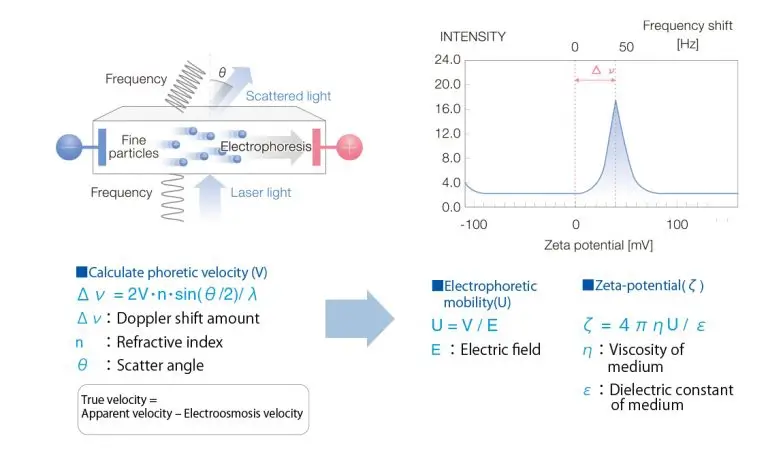 ELSZneo Potencial Zeta Metodo De Dispersao De Luz Eletroforetica Metodo Doppler A Laser 66a56885c5e0b