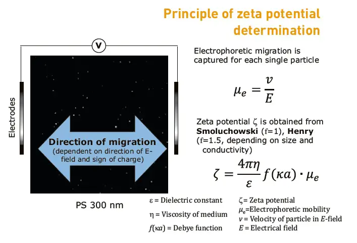 Princípio de Determinação da Mobilidade Eletroforética e Potencial Zeta